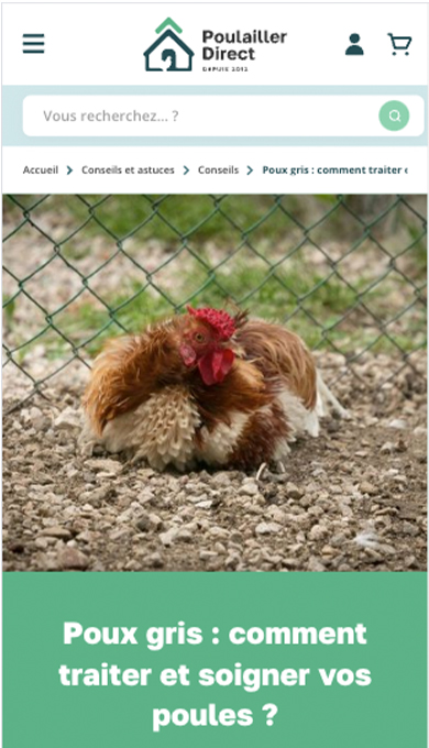 Réalisation